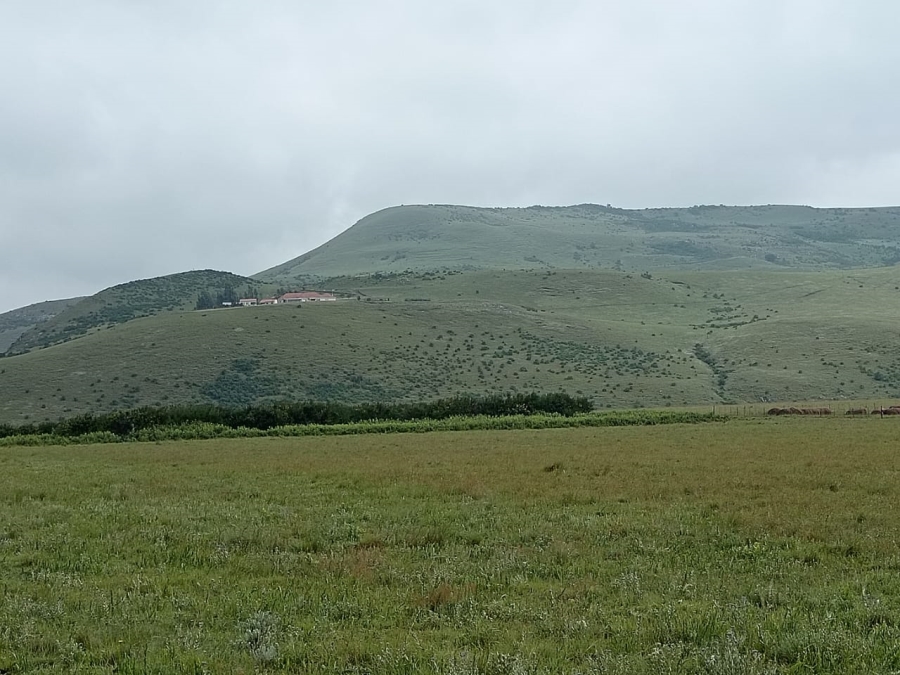 3 Bedroom Property for Sale in Memel Free State